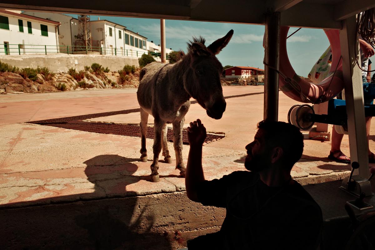 Adam and Donkey. Asinara National Park, Italy. 2025. Ricoh GRiii.