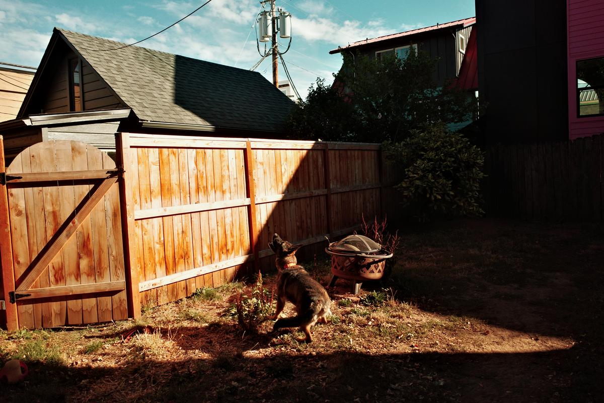 Hex, anticipating. Portland, OR. 2025. Ricoh GRiii.